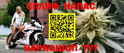 тгк Ливны