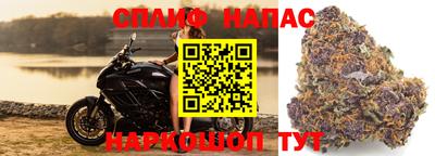 тгк Ливны
