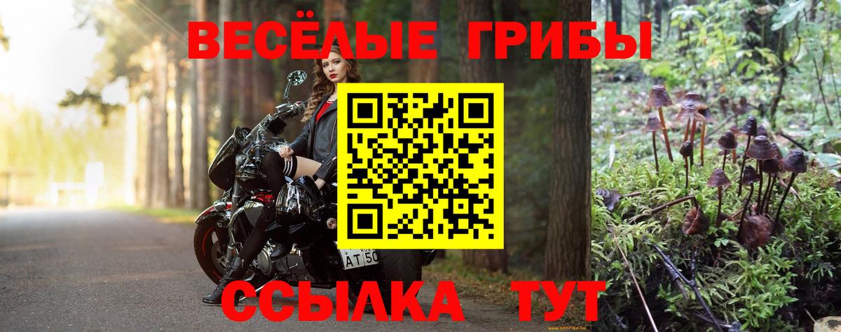 Галлюциногенные грибы мухоморы Зерноград