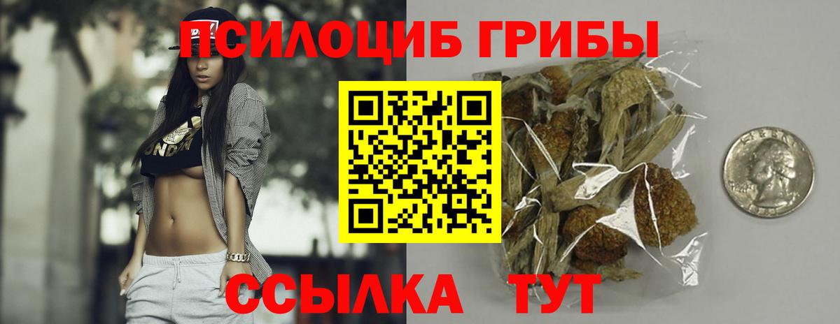 Зерноград  Галлюциногенные грибы Magic Shrooms  Вход с VPN 
