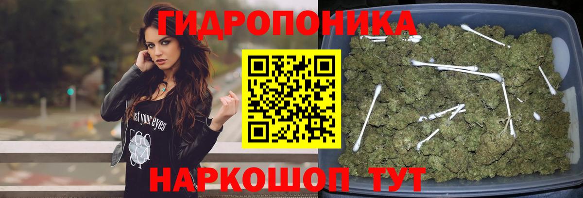 Канабис планчик Зерноград