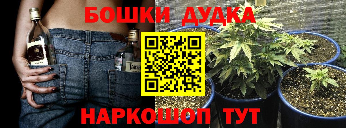 Марихуана планчик  Вход с VPN  Шишки марихуана конопля  Зерноград 